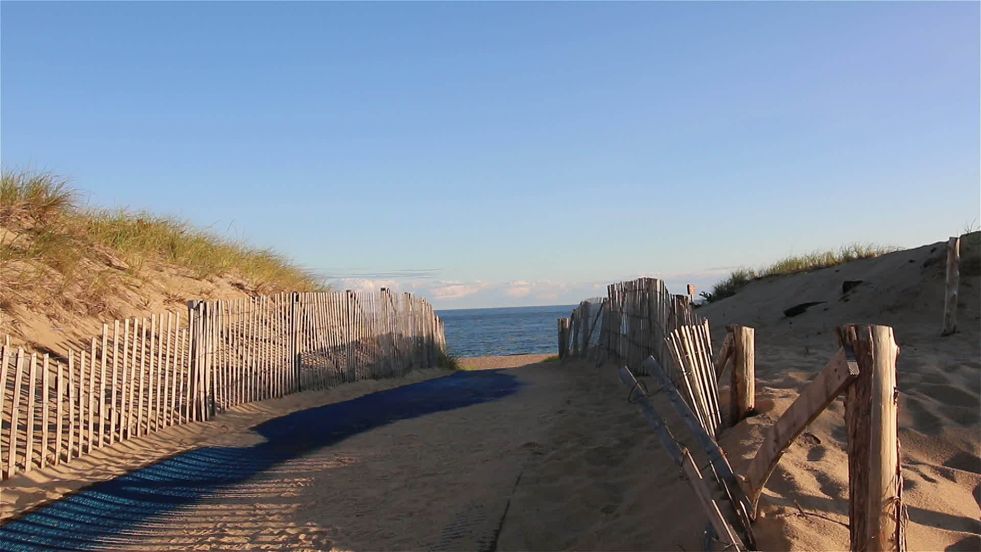 用蓝色地毯沙沙沙沙沙沙沙沙的斗篷鳕鱼到海滩视频的预览图
