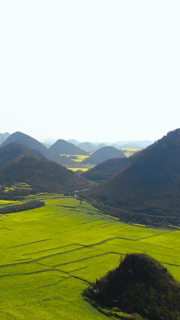 罗平金鸡峰和油菜田的航拍视频视频的预览图