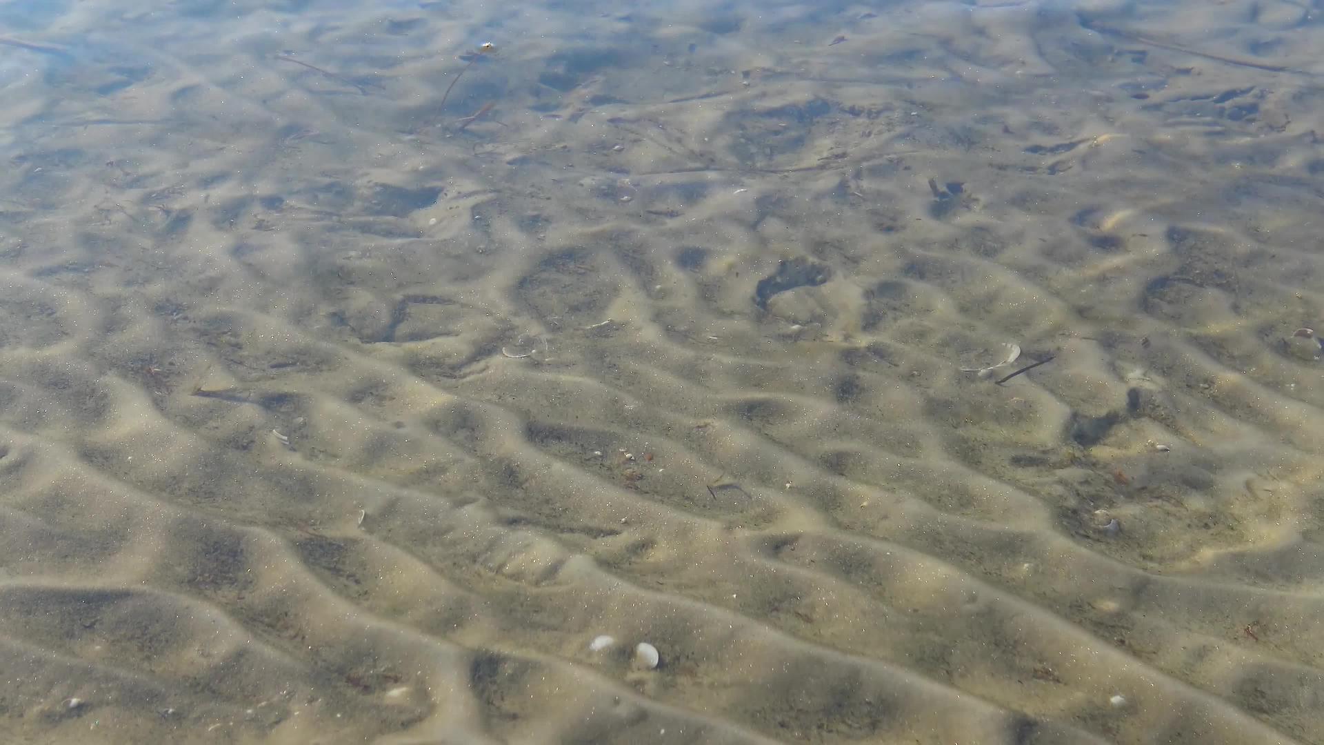 海底沙子的波浪抽象背景浅沙海床上有一束阳光视频的预览图