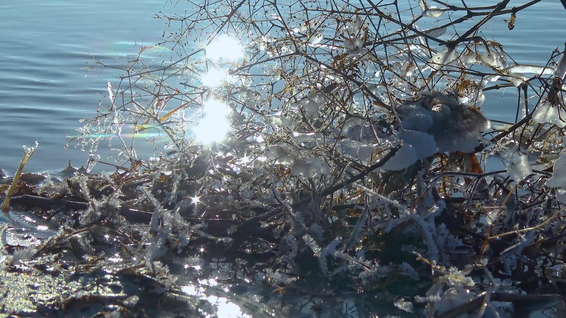 树枝上有冰冻的泉水流过树木和冰柱视频的预览图