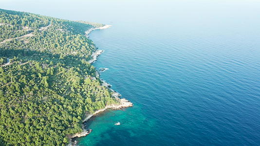 美丽陡峭的岩石海岸线和松绿海水的空中飞行镜头视频的预览图
