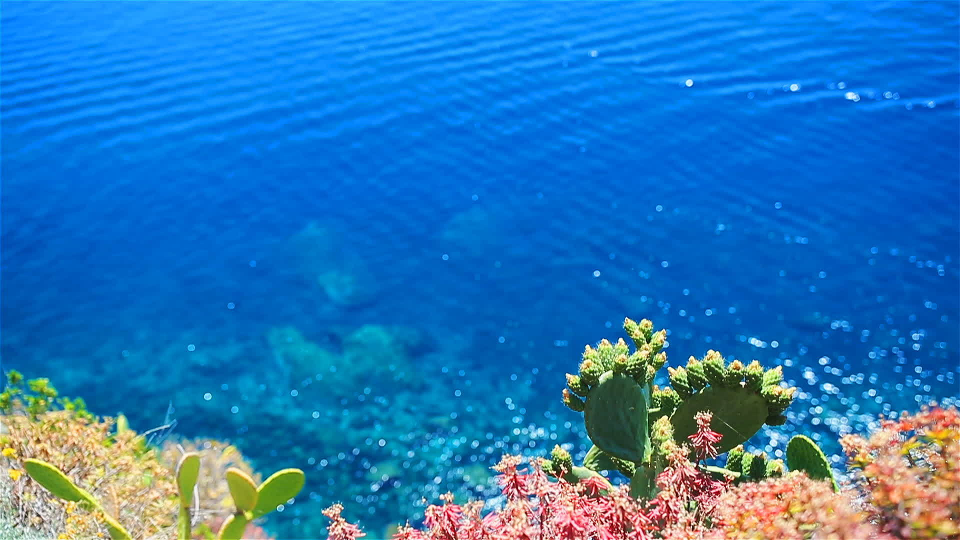 明亮的绿色绿色石头清澈的水IFAGE西奎地里的意大利视频的预览图