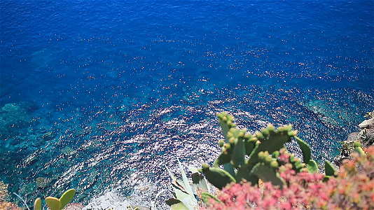 明亮的绿色绿色石头清澈的水IFAGE西奎地里的意大利视频的预览图