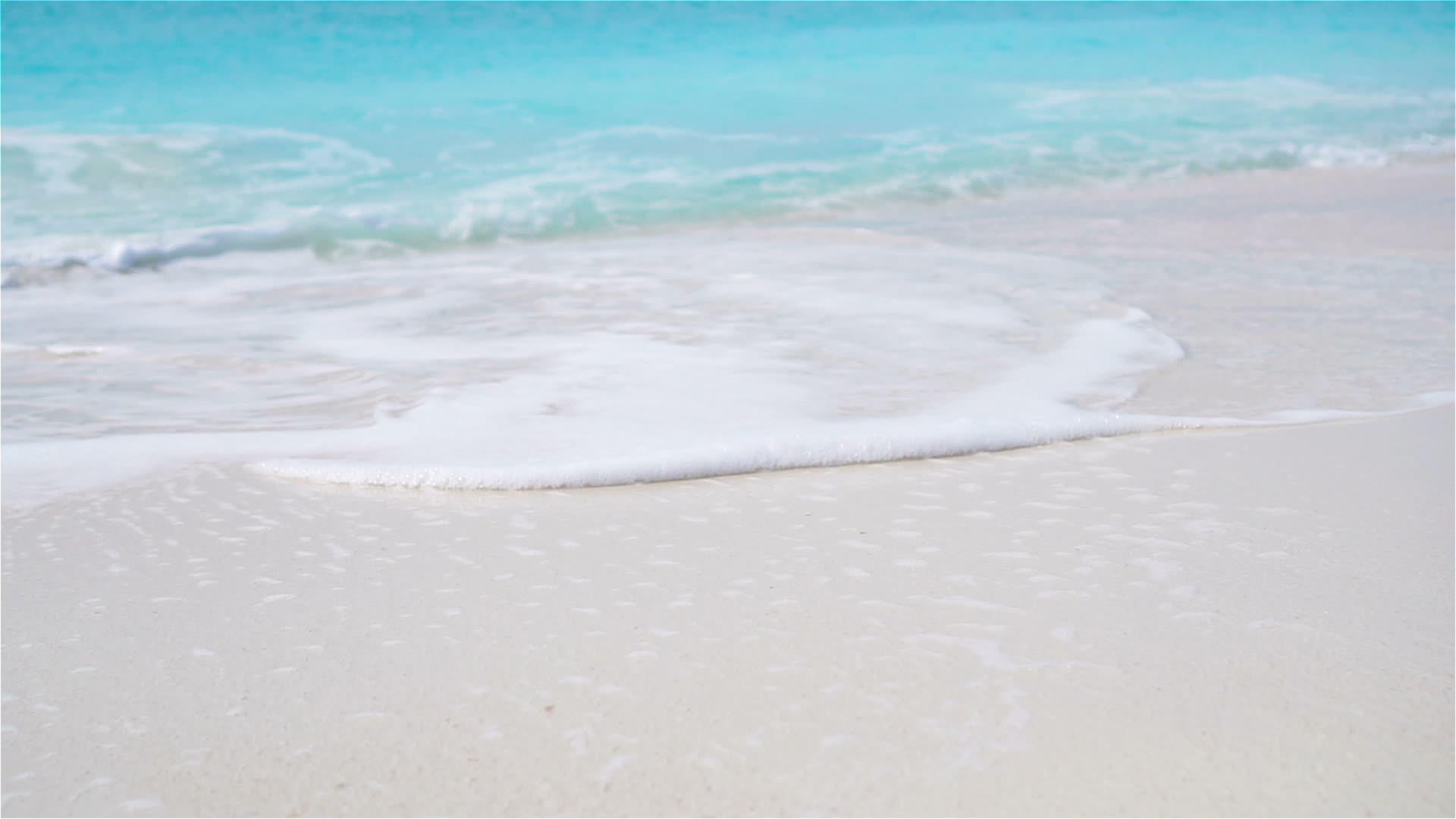 热带长河热带海滩白沙松绿色海洋水西里贝岛蓝天视频的预览图