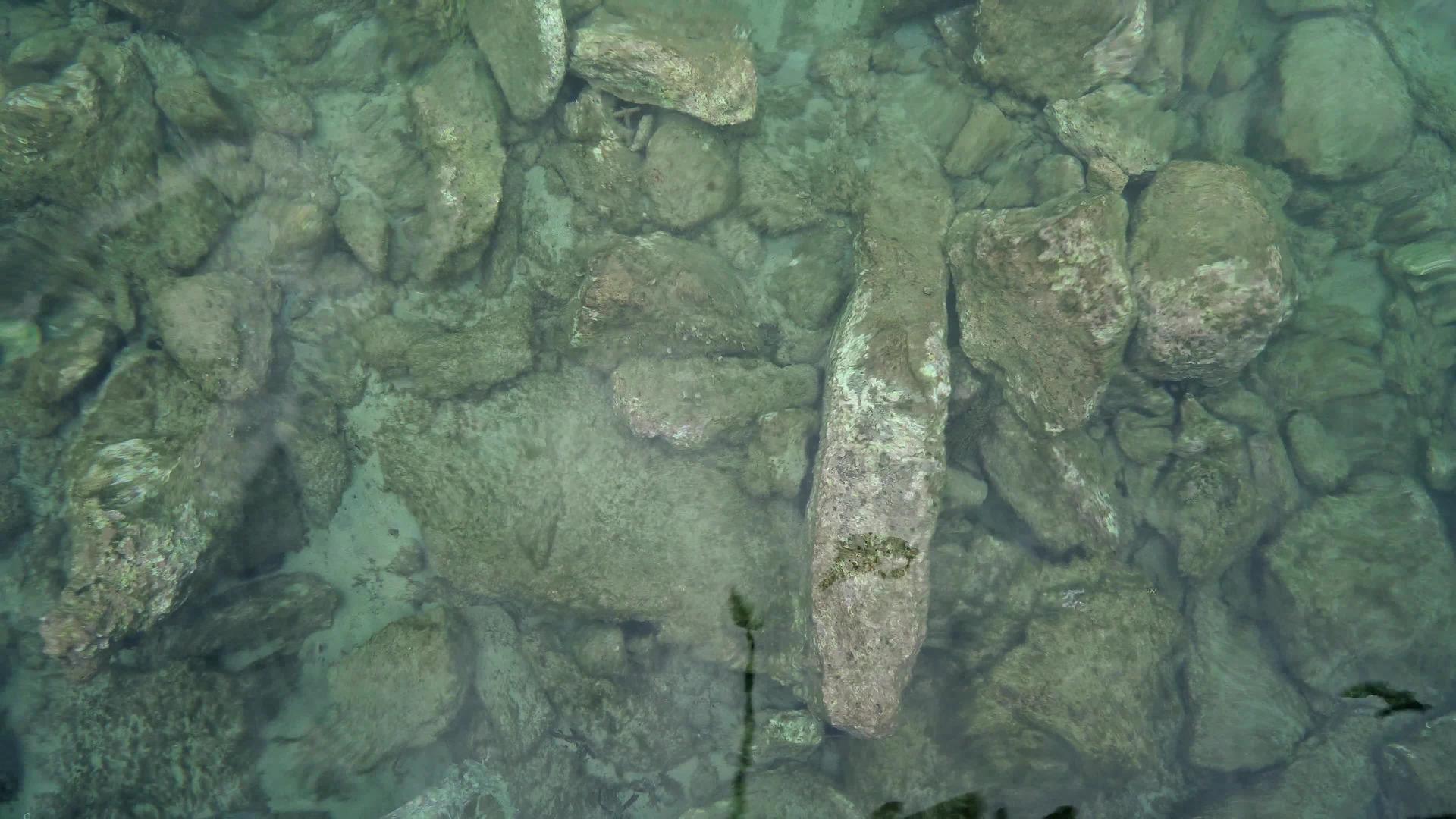 自然背景的浅水石的自然背景视频的预览图