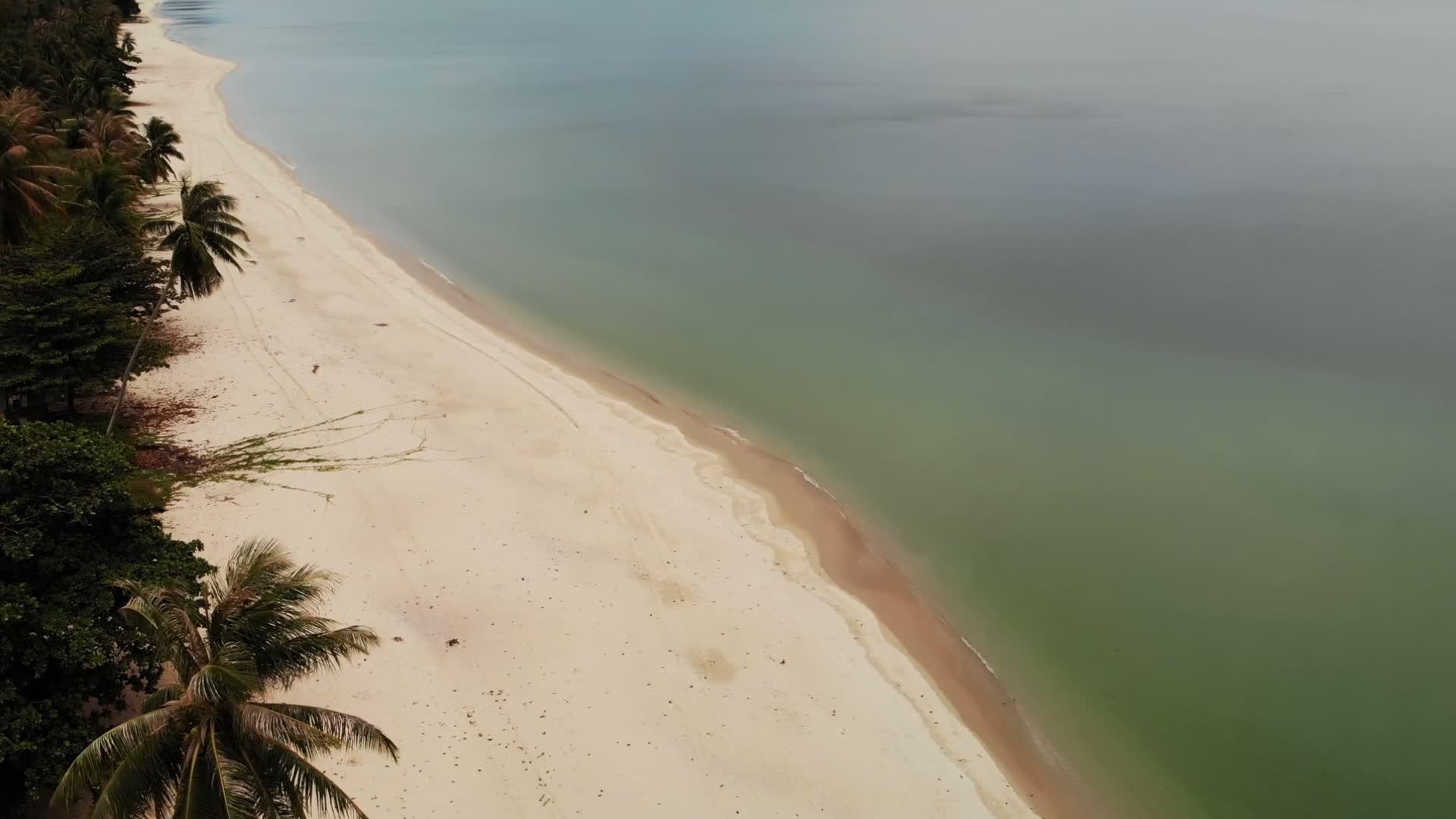 美丽的海景热带白色海滩绿色海水顶级无人机查看视频的预览图