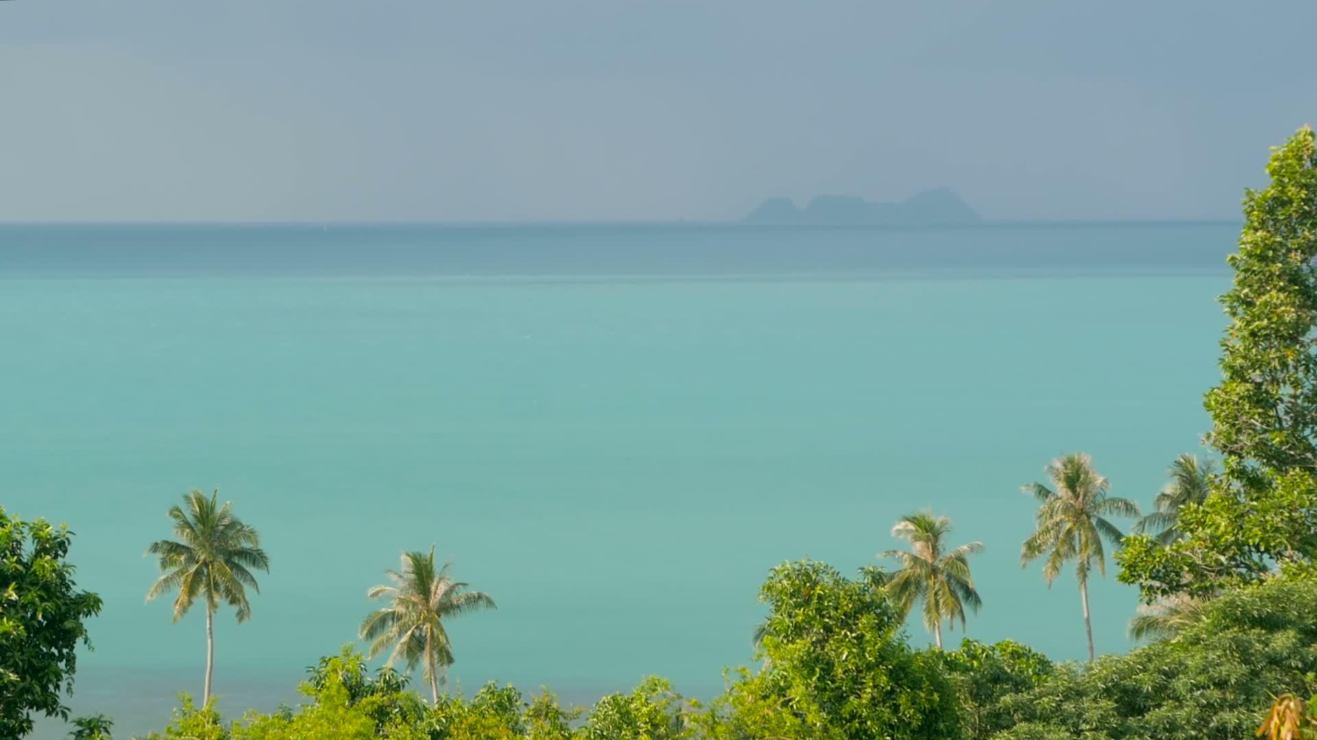 热带海景充满活力的天堂岛海滩风中飘扬着椰子棕榈树视频的预览图