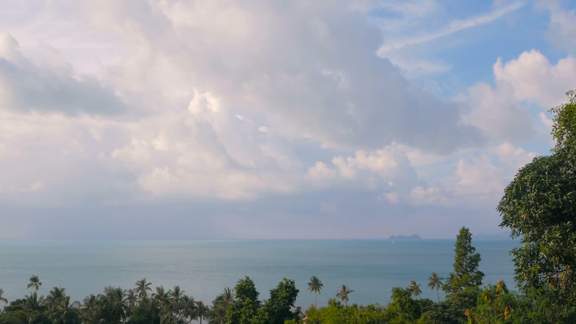 热带海景充满活力的天堂岛海滩风中飘扬着椰子棕榈树视频的预览图