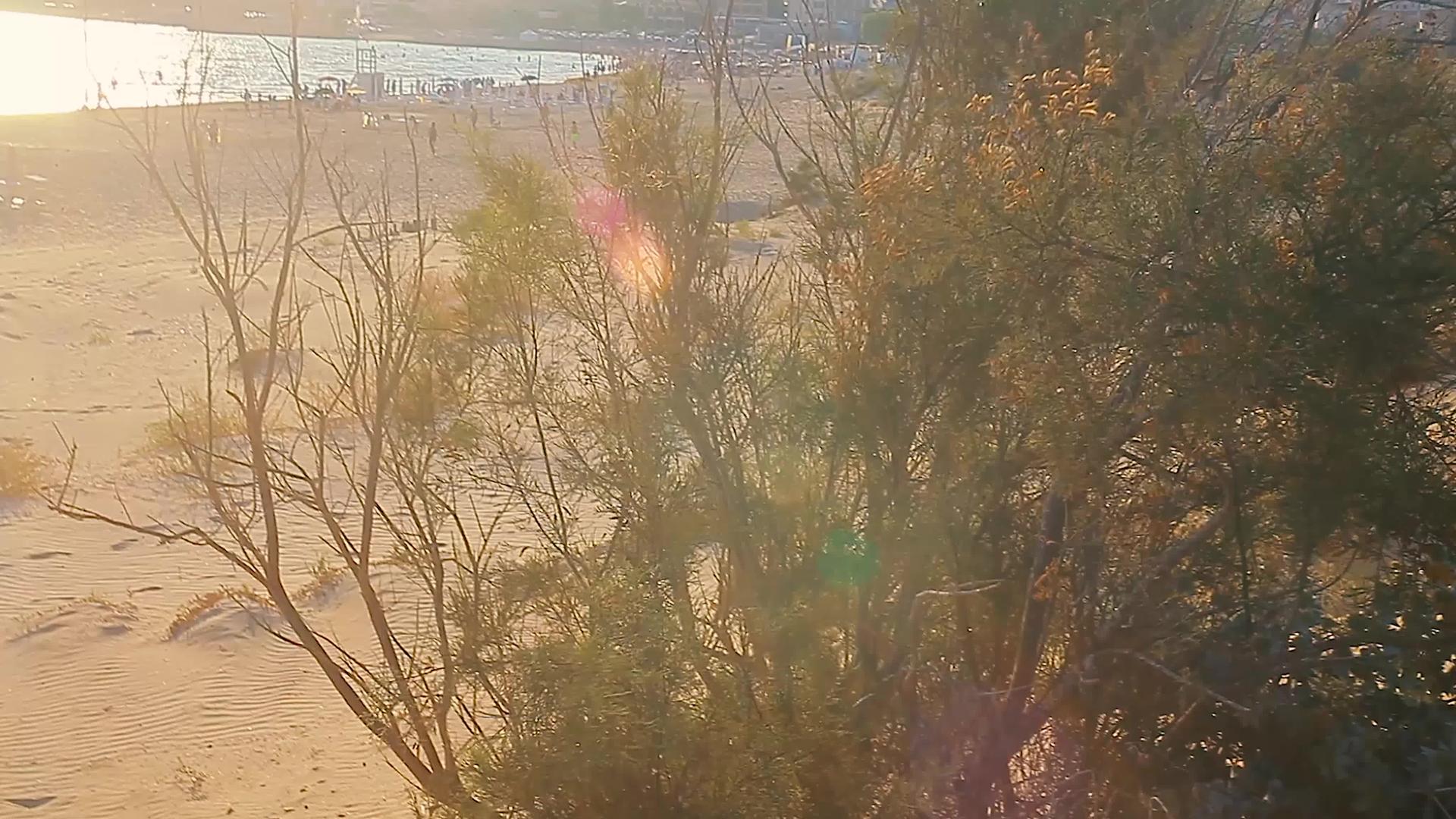 摩多底沙滩视频的预览图