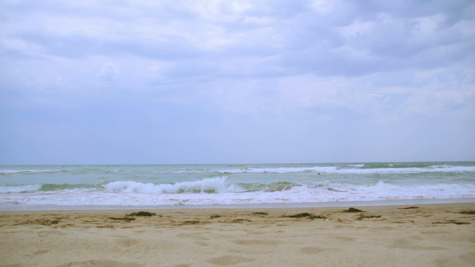 白天的沙滩视频的预览图