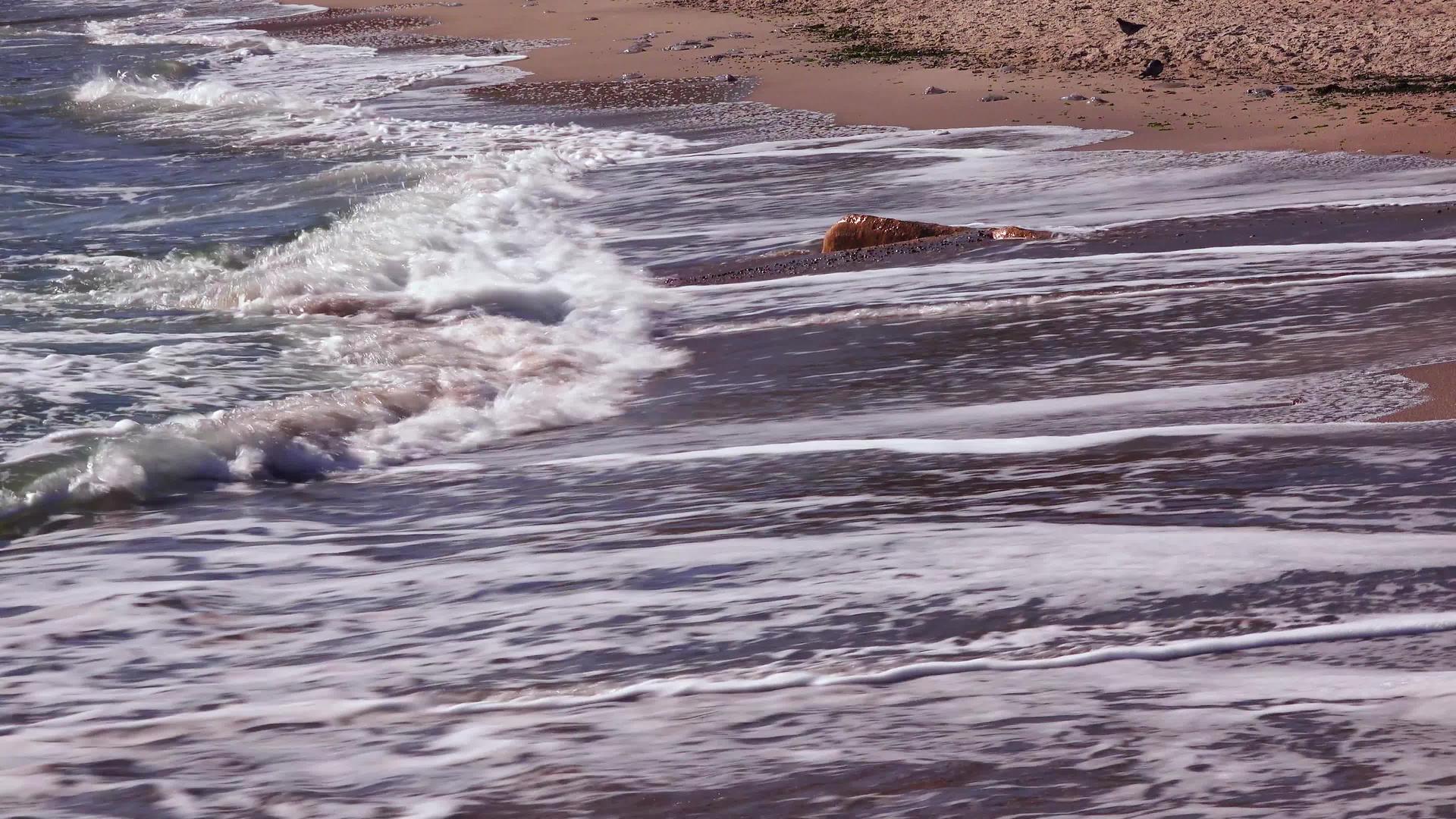 海浪沙滩上有白色的泡沫太阳在水中反射黑海视频的预览图