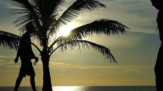 人们在海洋和棕榈树的背景下行走的光影照亮了人们视频的预览图