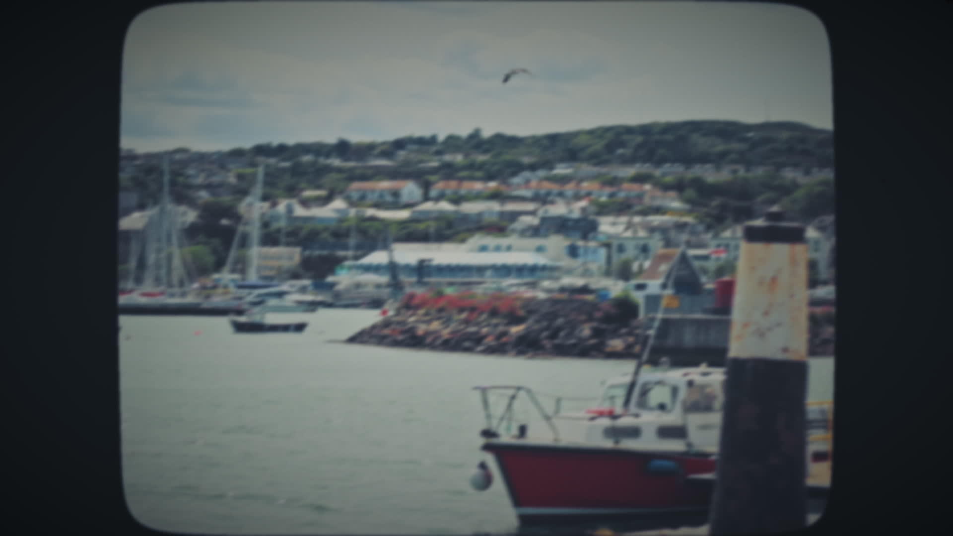 海鸥飞过小城镇的港口视频的预览图