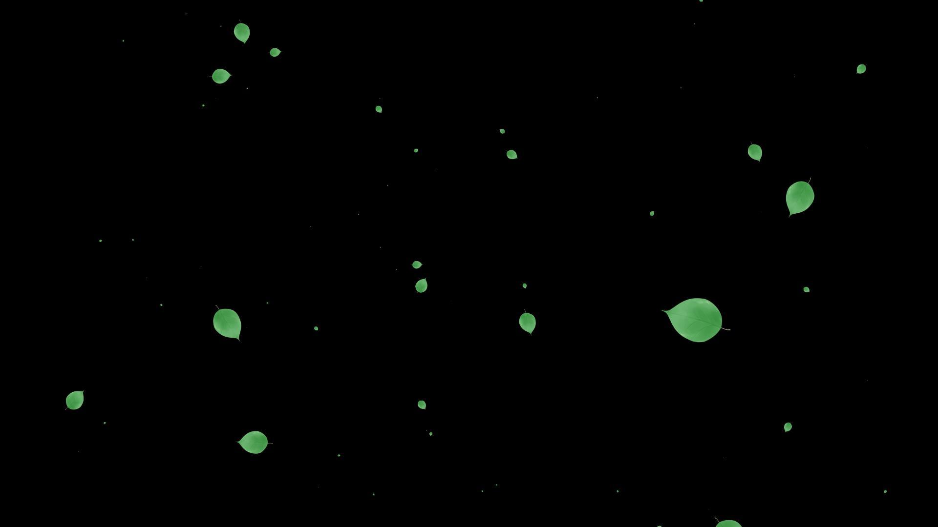 树叶镜头冲屏粒子视频的预览图