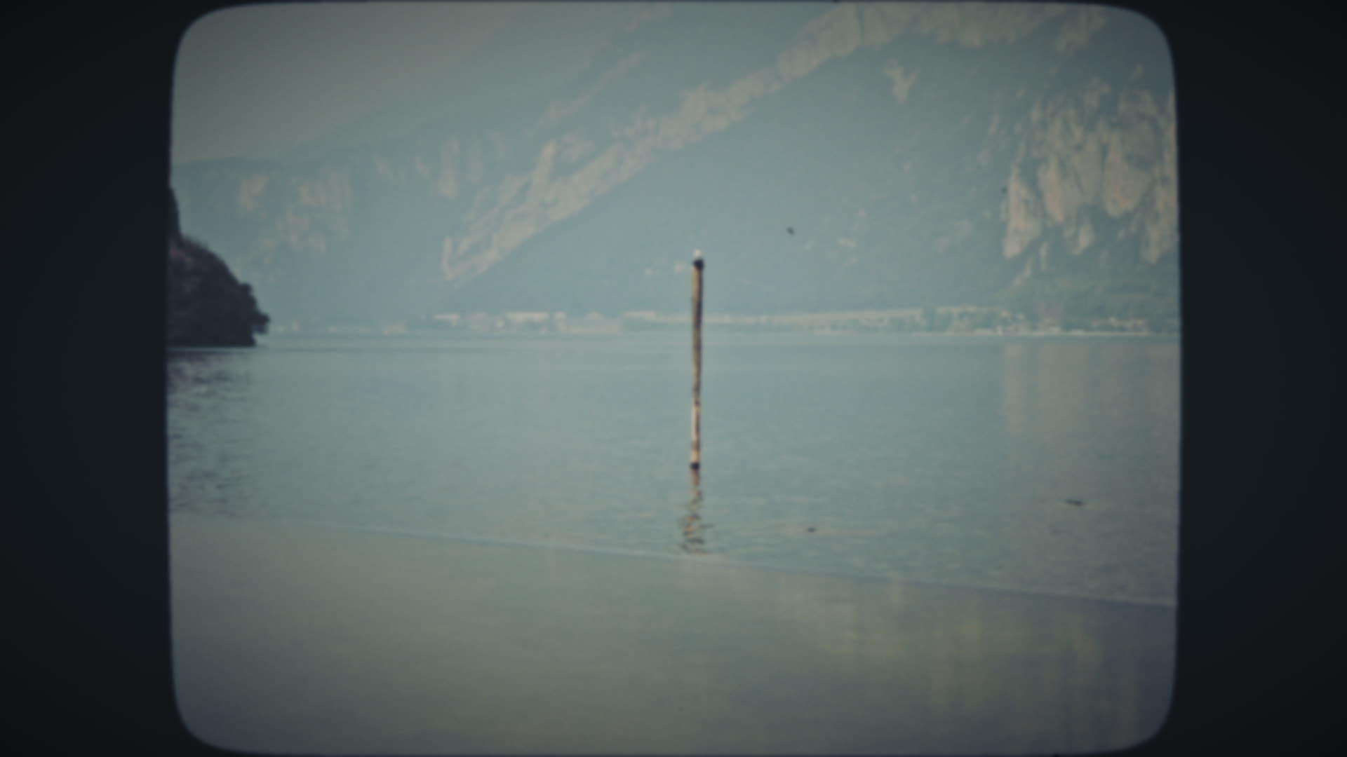独自坐在木柱上的海鸥视频的预览图