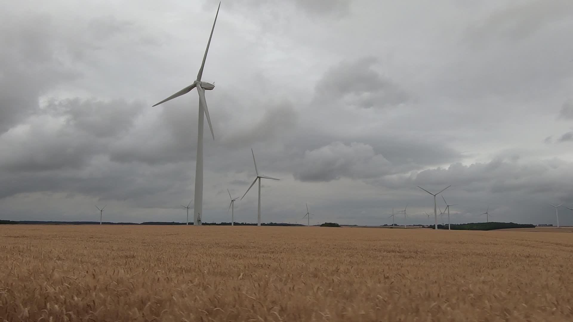 云层下小麦田的风涡轮机视频的预览图