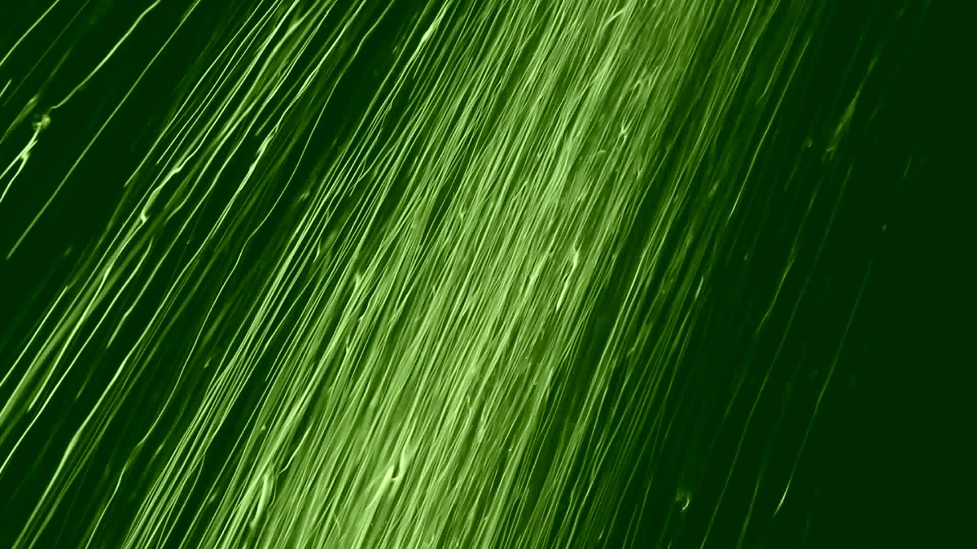 绿色淋浴摘要视频的预览图