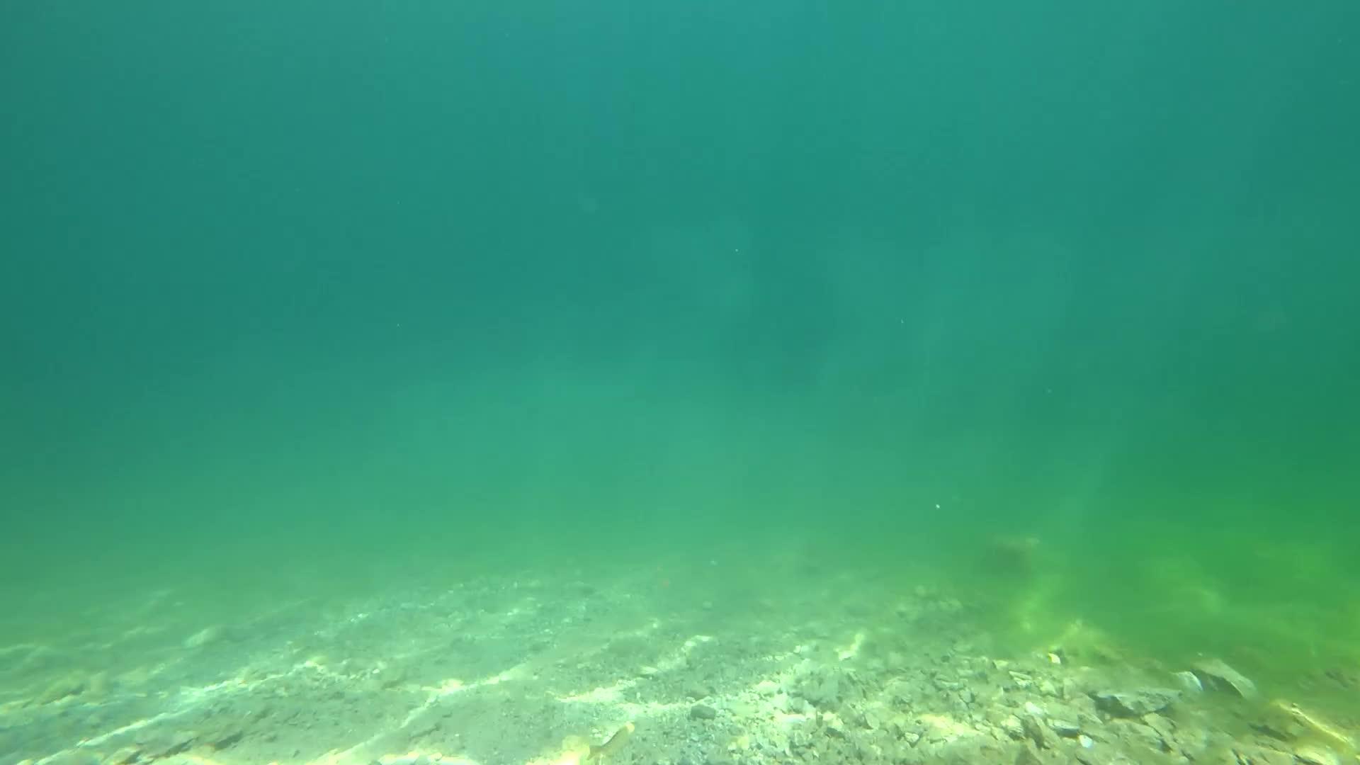 在山湖水下射出的子弹视频的预览图