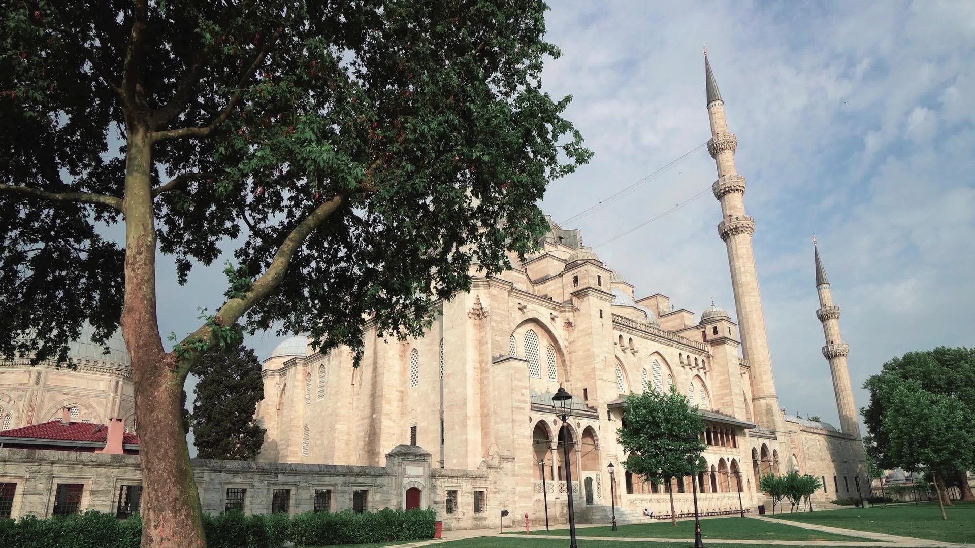 通往土耳其伊斯坦布尔苏丹清真寺的大门视频的预览图