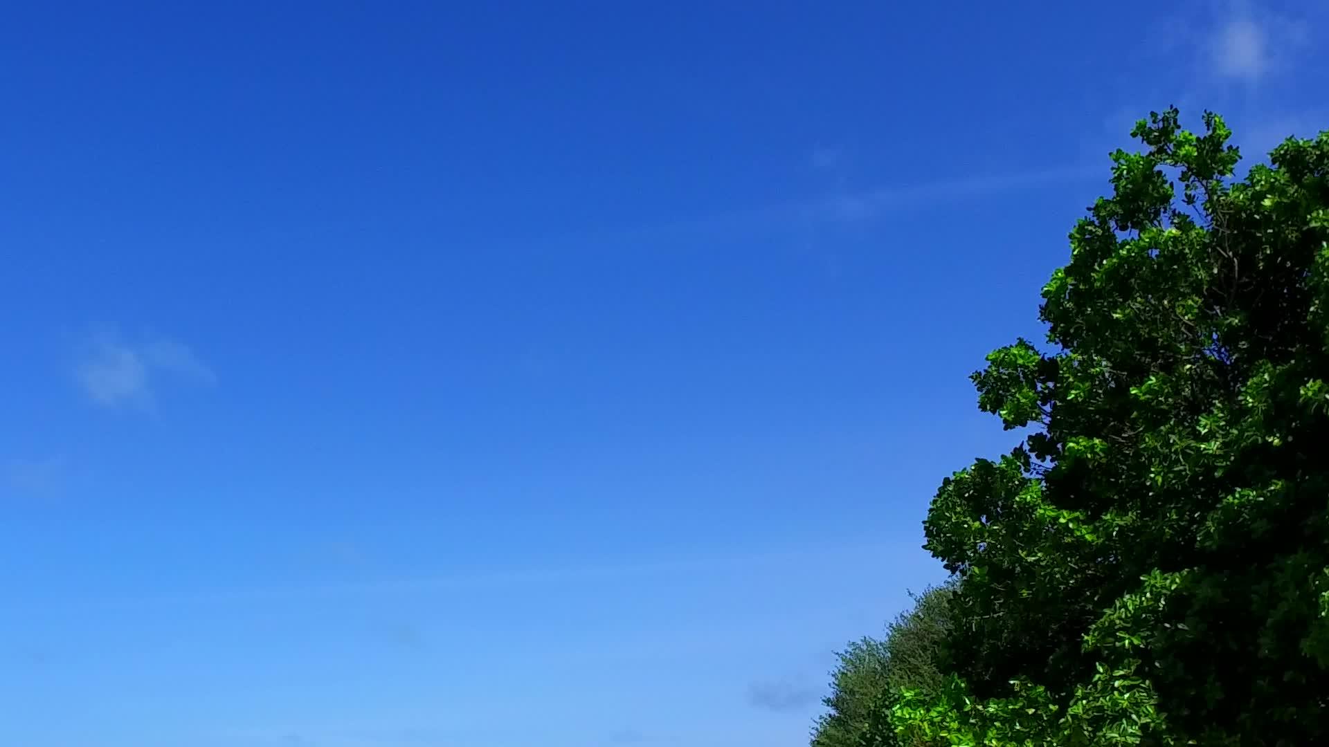 美丽的度假胜地以蓝水和白色沙滩为背景在度假村附近航行视频的预览图
