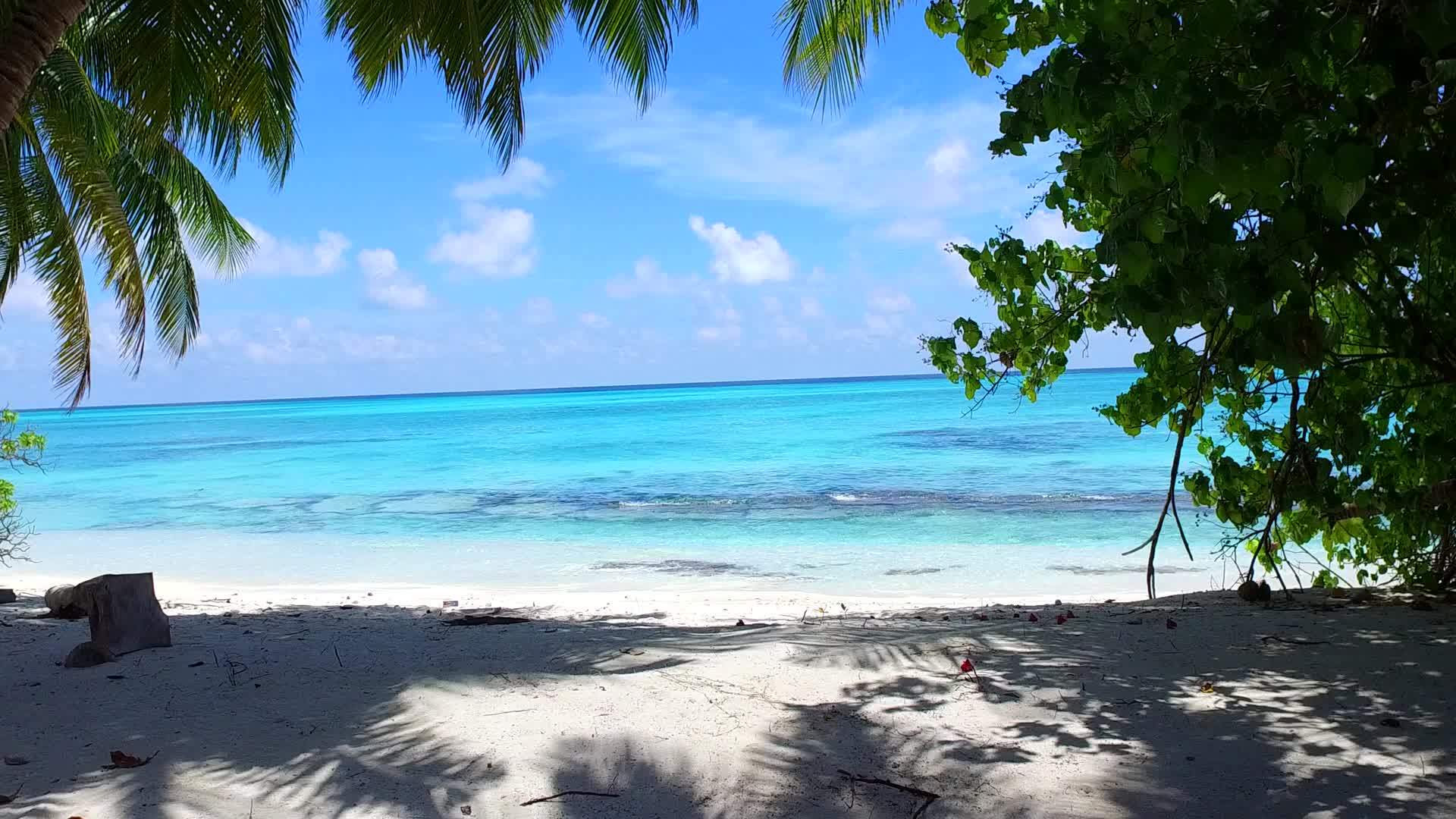 蓝色的水和白色的沙子在阳光下的背景让游客在海滩上放松时间的开放风景视频的预览图