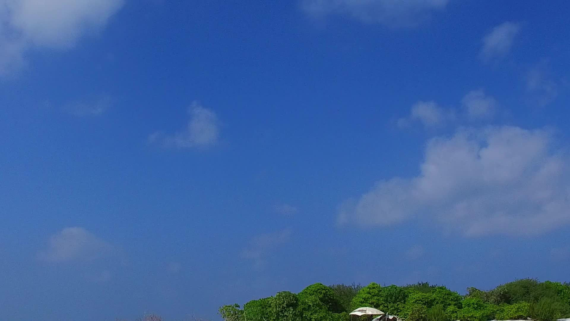美丽的岛屿海滩野生动物是用蓝绿色的水和白色的沙子在海浪附近复制的视频的预览图