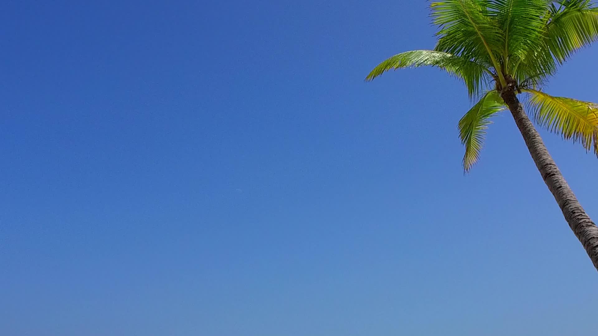 蓝色的水和白色的沙滩在白色的沙滩背景下在阳光下视频的预览图
