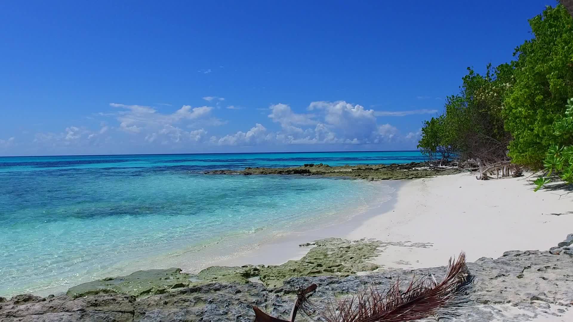阳光明媚、宁静的海滩之旅由绿色海洋和海滩附近的白沙土组成视频的预览图