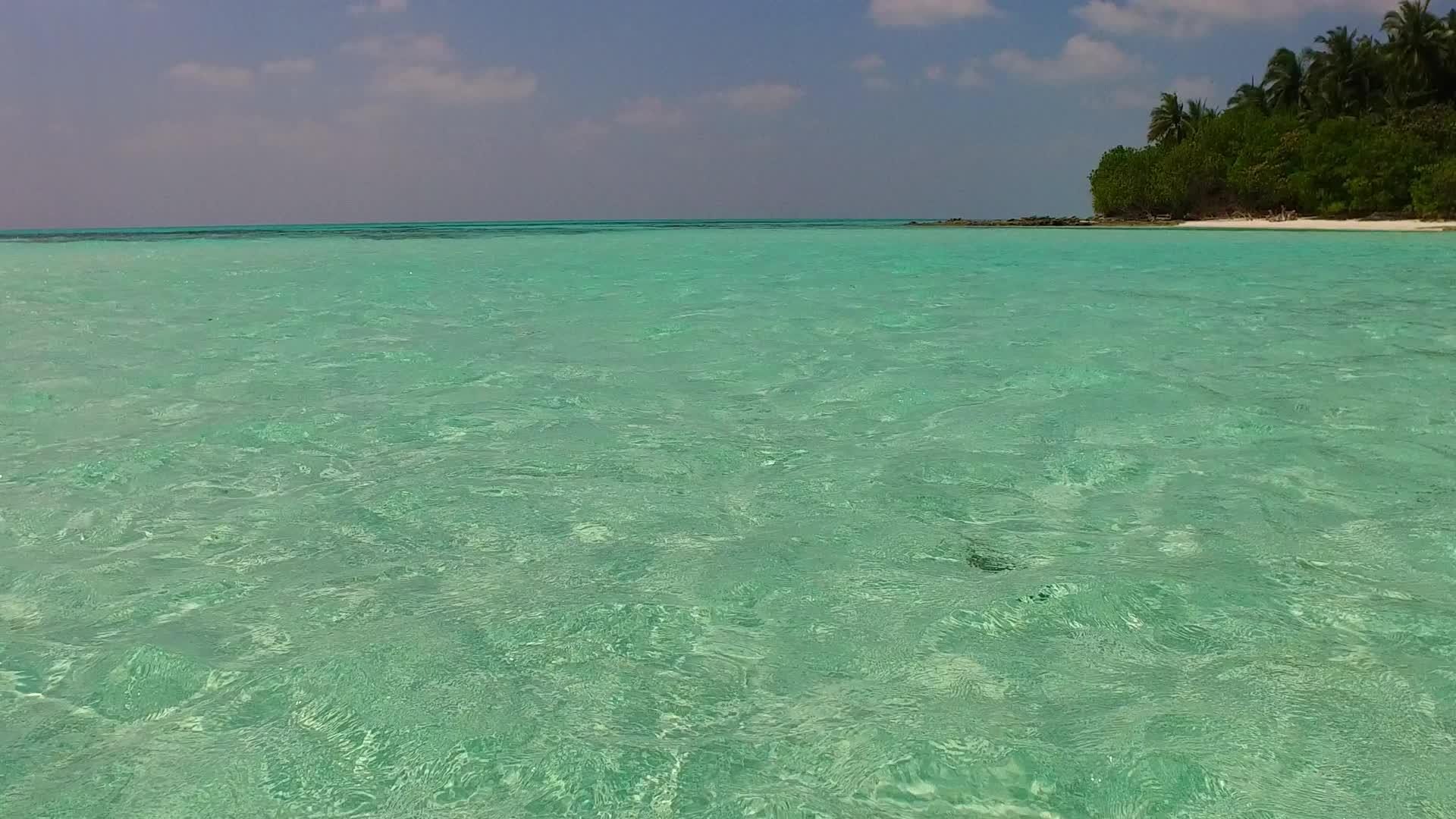 在蓝色环礁湖和白色海滩附近放松海湾海滩野生海滩视频的预览图