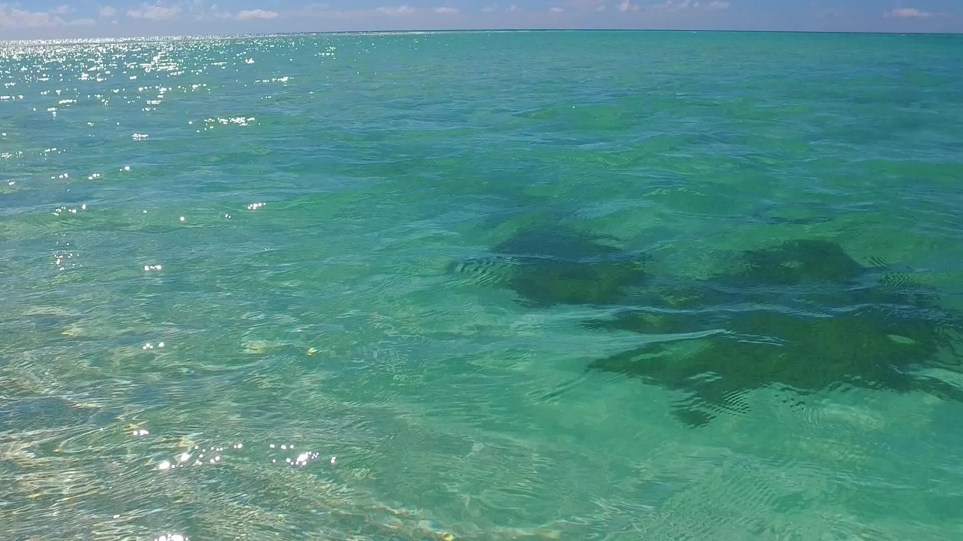豪华海湾海滩冒险的绝密性是由松绿海和接近海浪的白色组成的视频的预览图