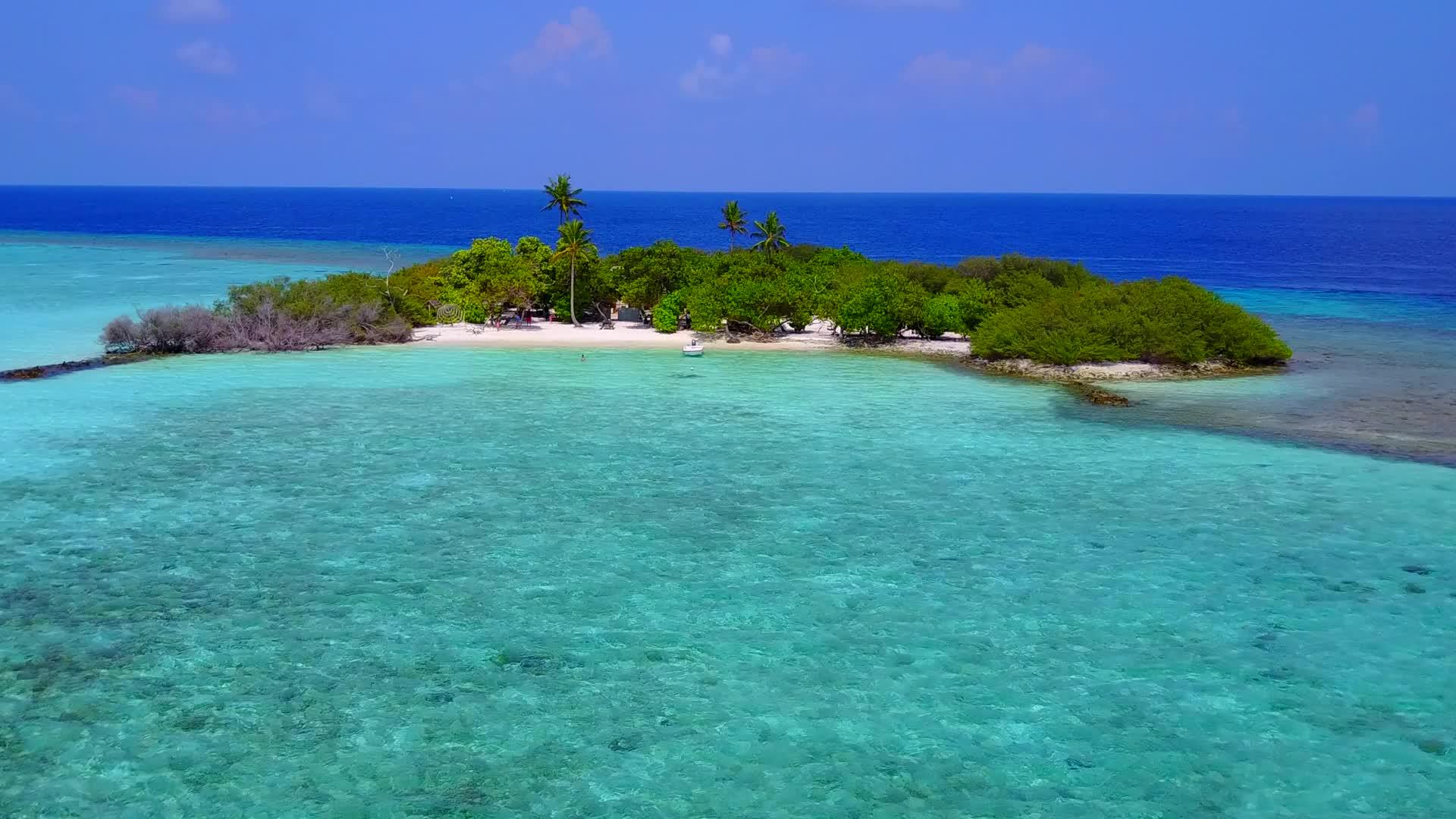 完美的海湾海滩探索利用浅海和沙巴附近的白色海滩背景视频的预览图