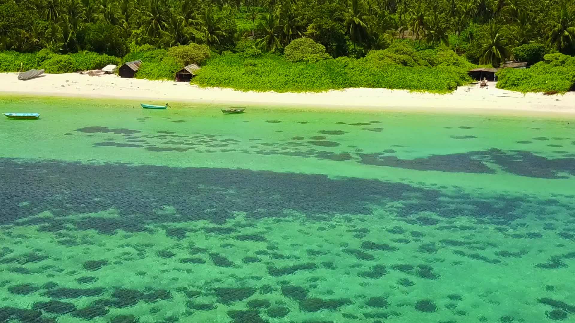 在海湾海滩旅行的背景下使用浅沙和浅沙靠近明水和棕榈视频的预览图