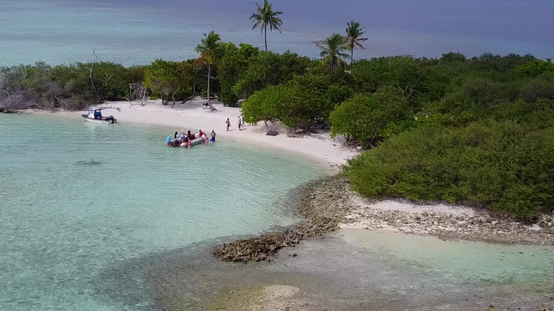 以白沙为背景的浅海在冲浪附近进行海滩冒险视频的预览图