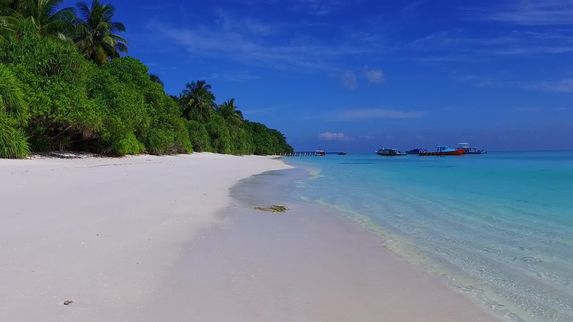 以蓝色海洋和棕榈树为背景的白沙旅游海滩探险视频的预览图