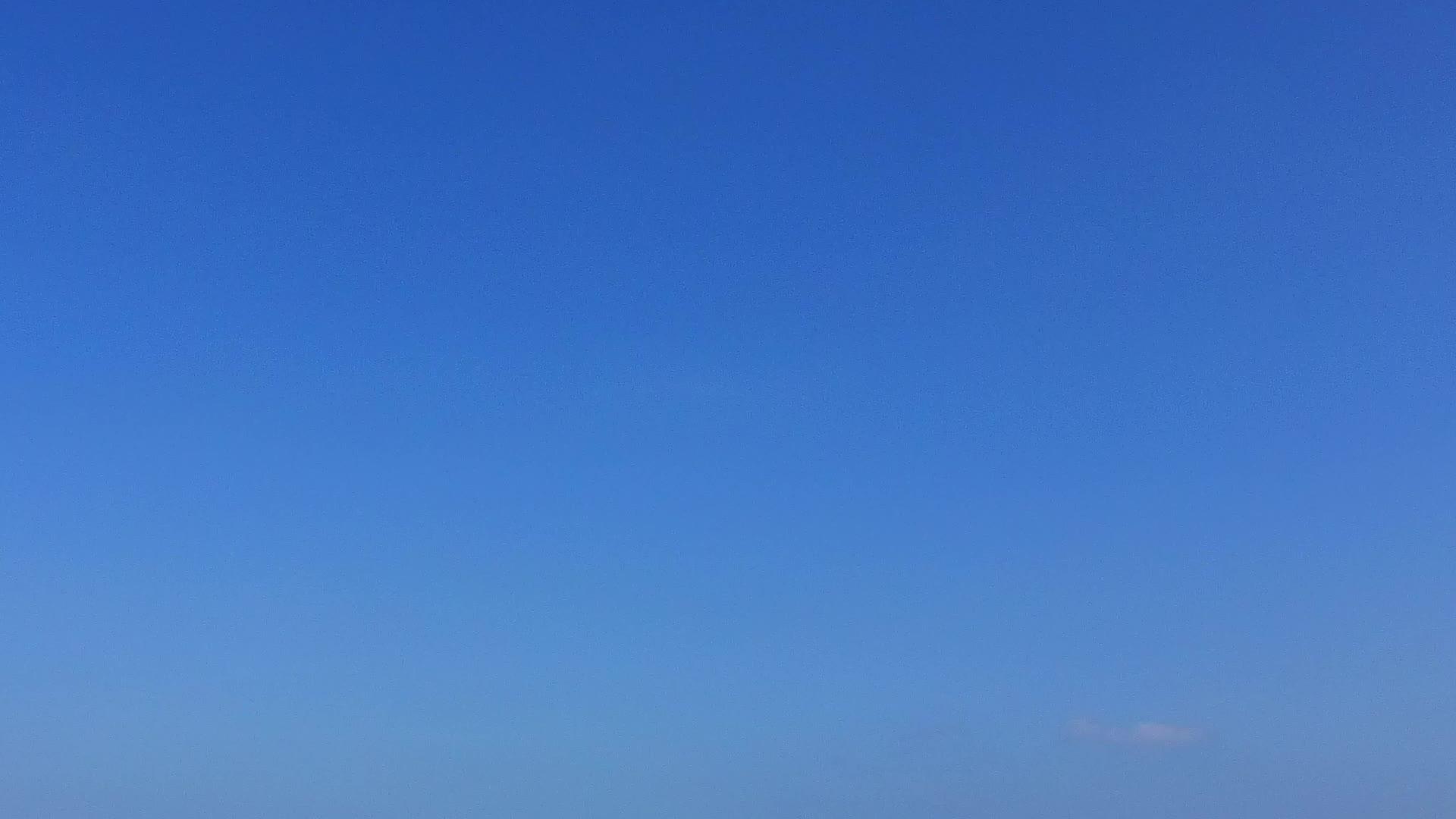 蓝天下美丽的海岸线海滩野生动物在阳光明媚的天空棕榈树附近视频的预览图