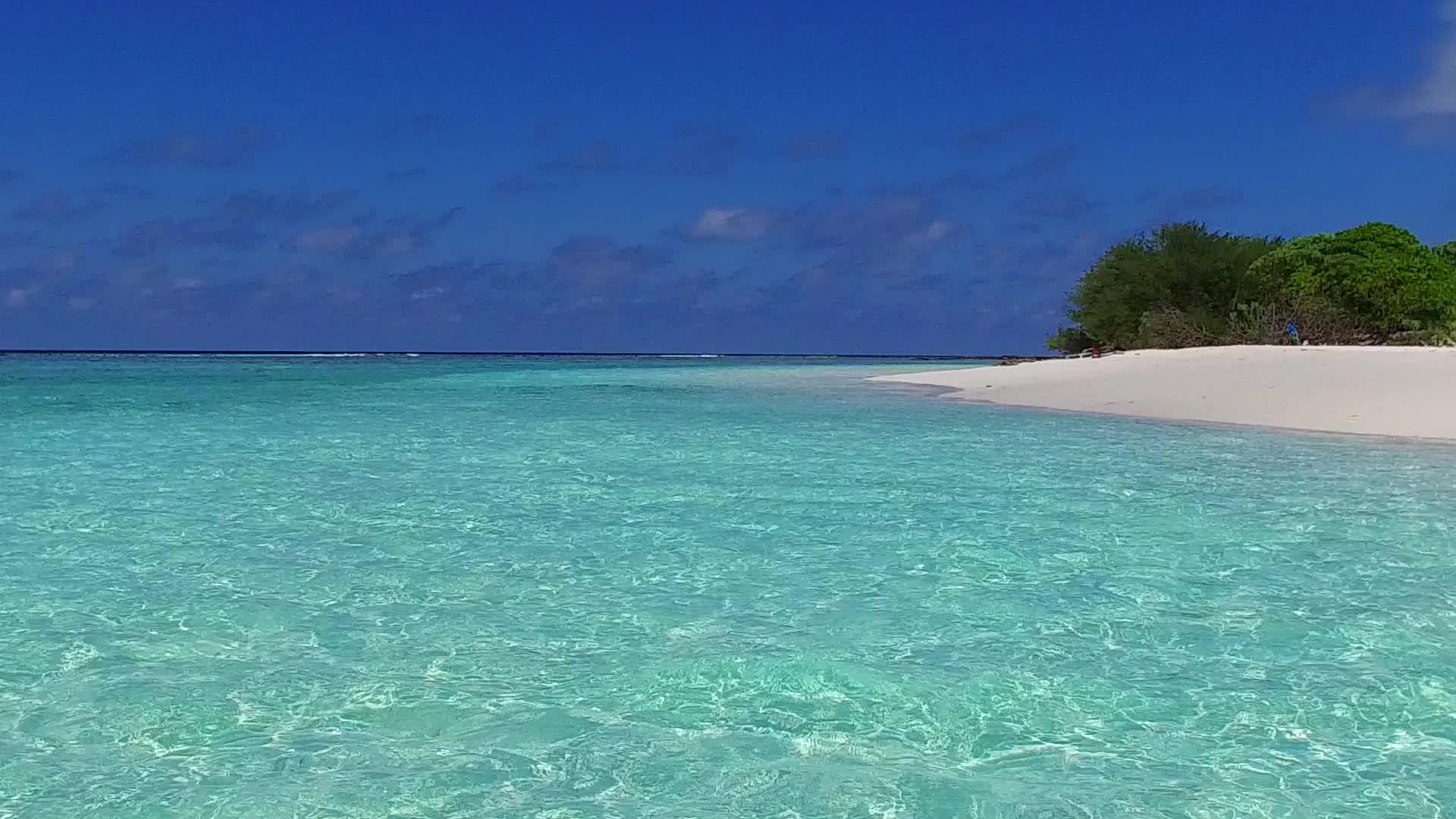 绿松石海滨海滩度假的夏季性质视频的预览图