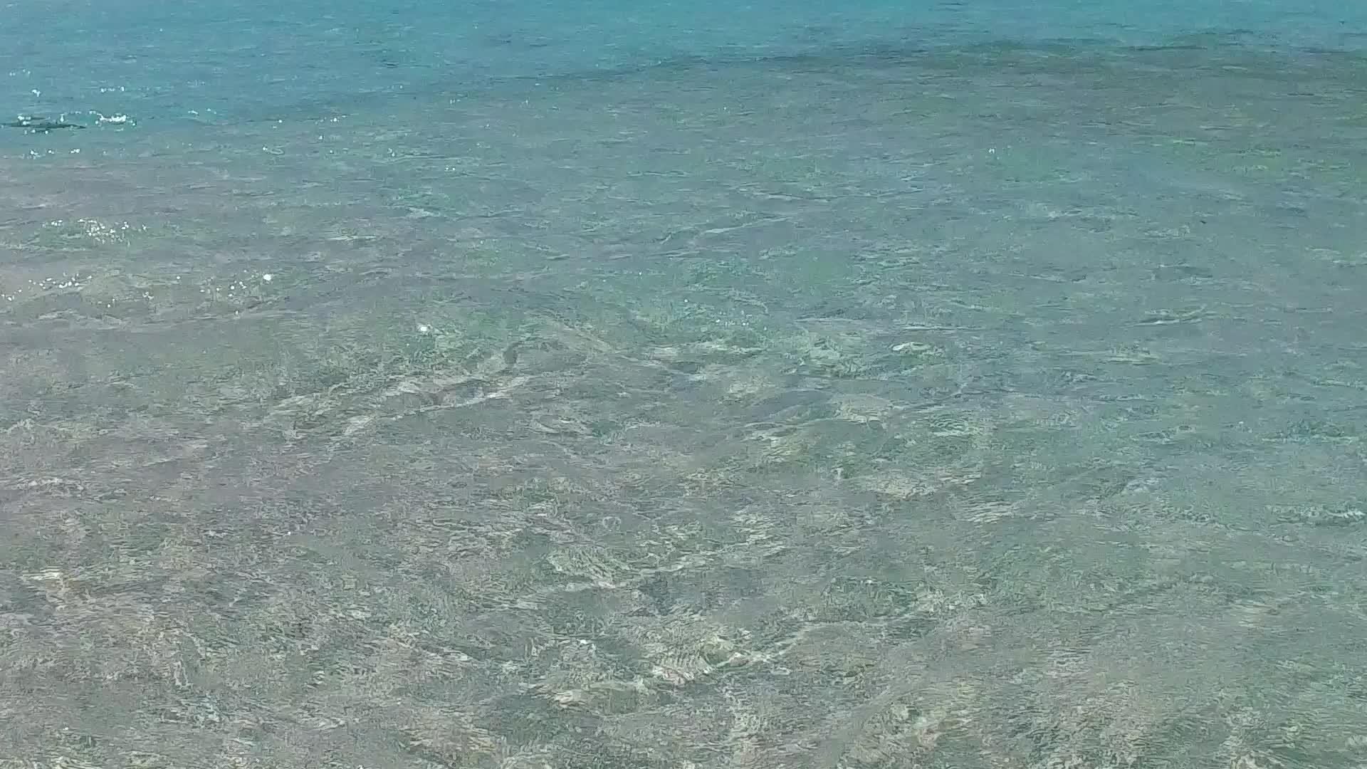 海洋旅游海滩假日宽角天空由蓝色水礁湖和珊瑚礁附近的珊瑚礁视频的预览图