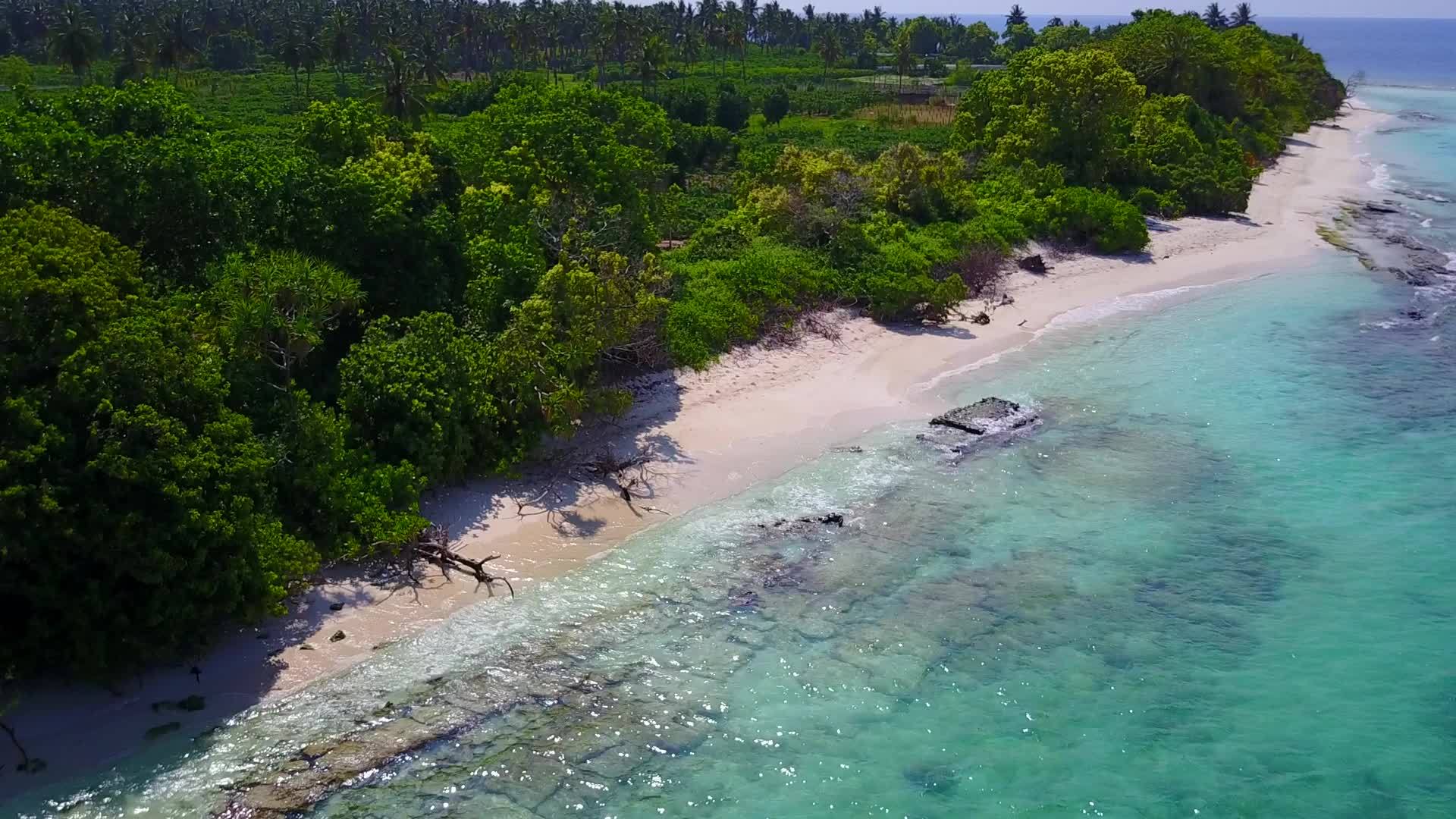 热带岛屿海滩度假的阳光明天沙巴附近自然有水蓝环礁视频的预览图