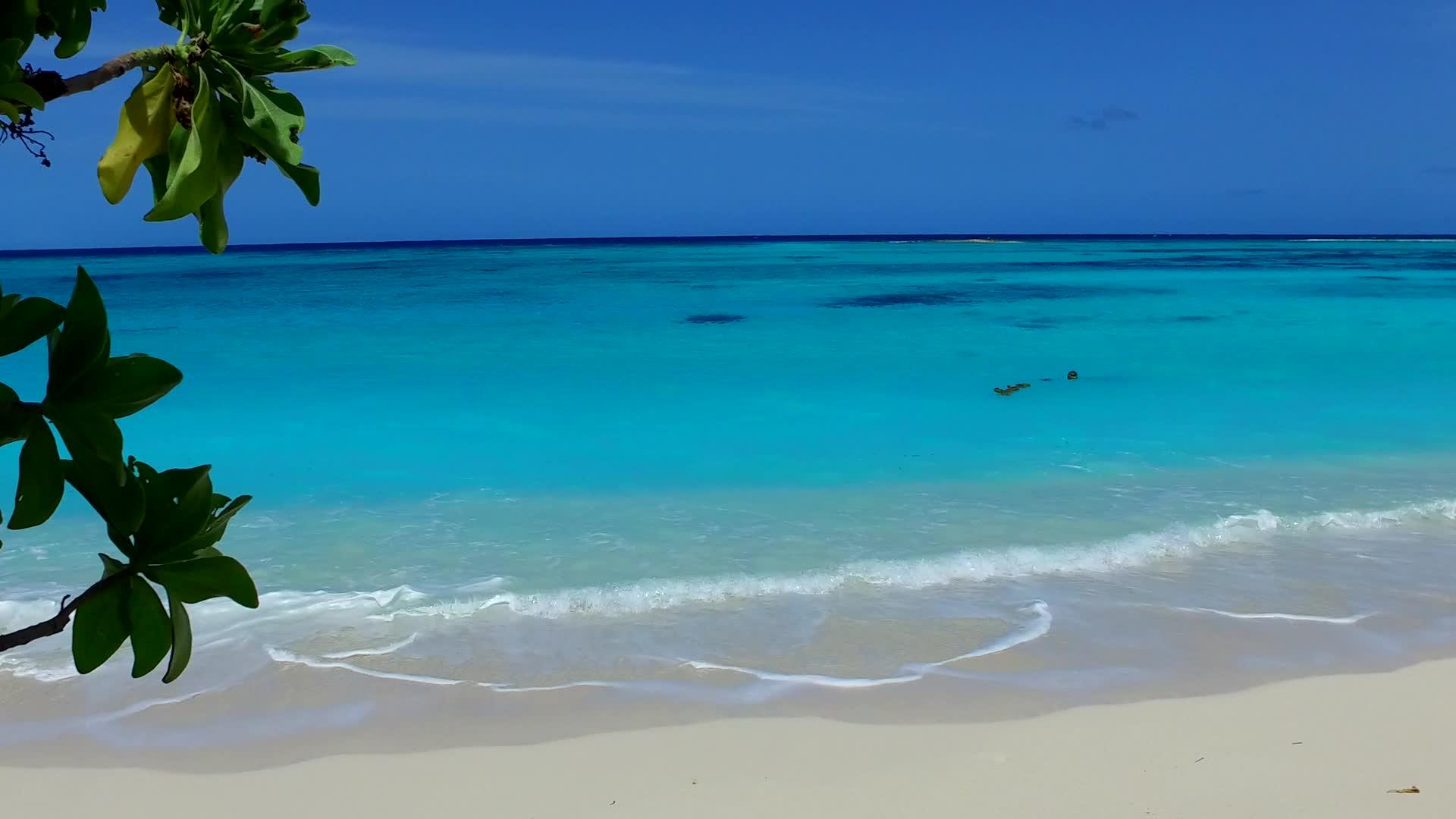 豪华海岸线通过透明环礁湖和沙巴附近的白色海滩背景进行视频的预览图