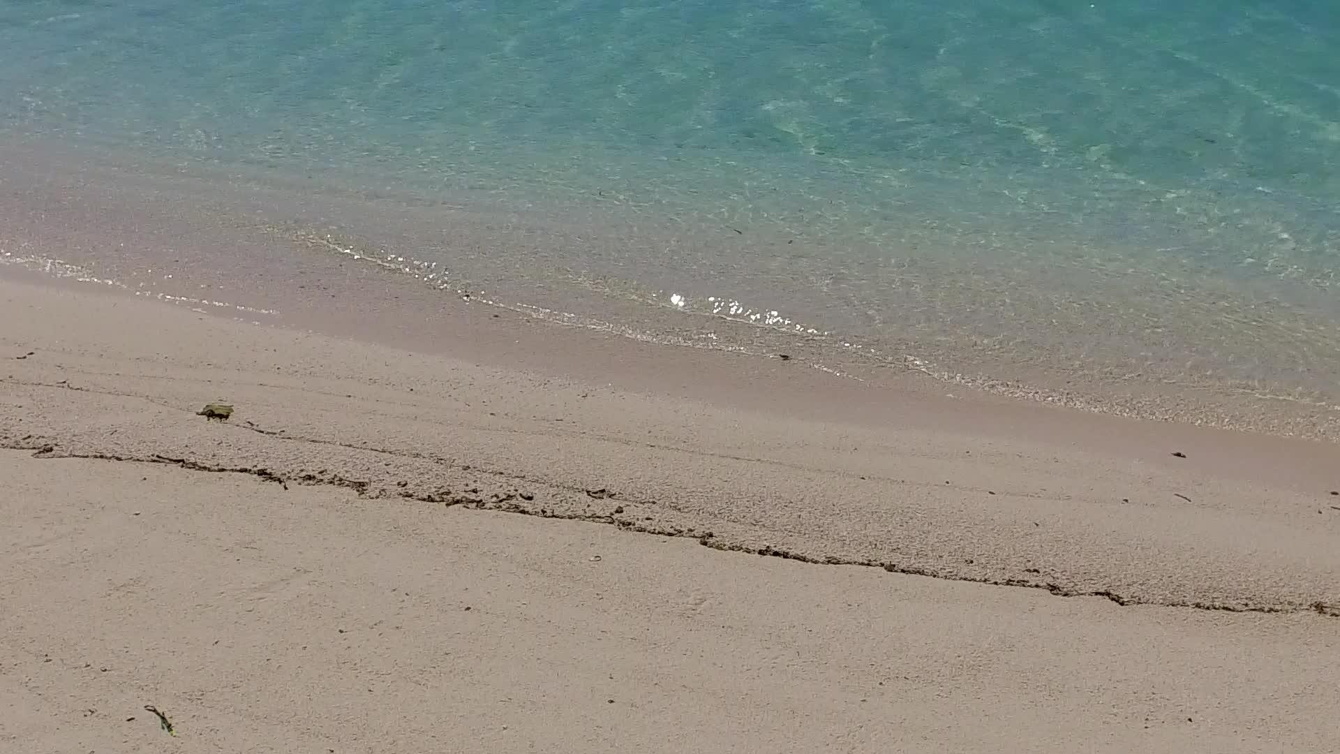 以棕榈树附近有白沙背景的蓝绿色海洋为例打破沿海海滩的间歇性视频的预览图