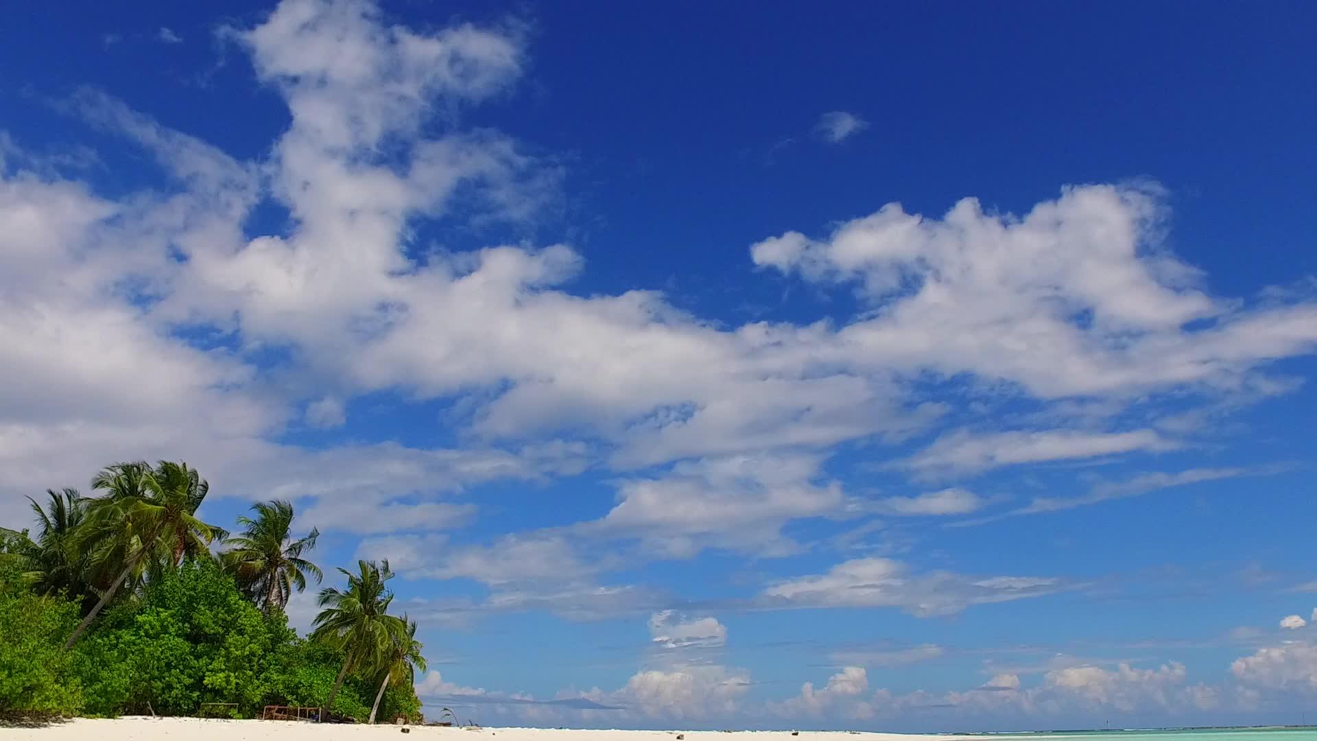 蓝海和珊瑚礁附近的海滨海景视频的预览图