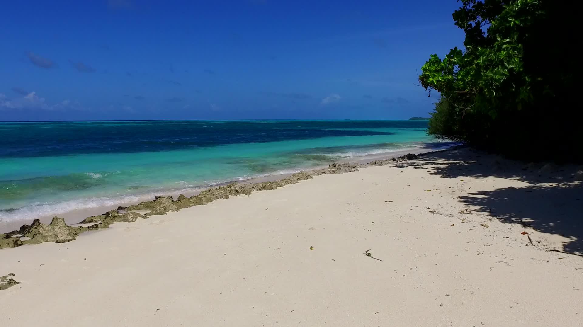 阳光明媚的天空完美的海岸海滩靠近海平面蓝海和棕榈树视频的预览图