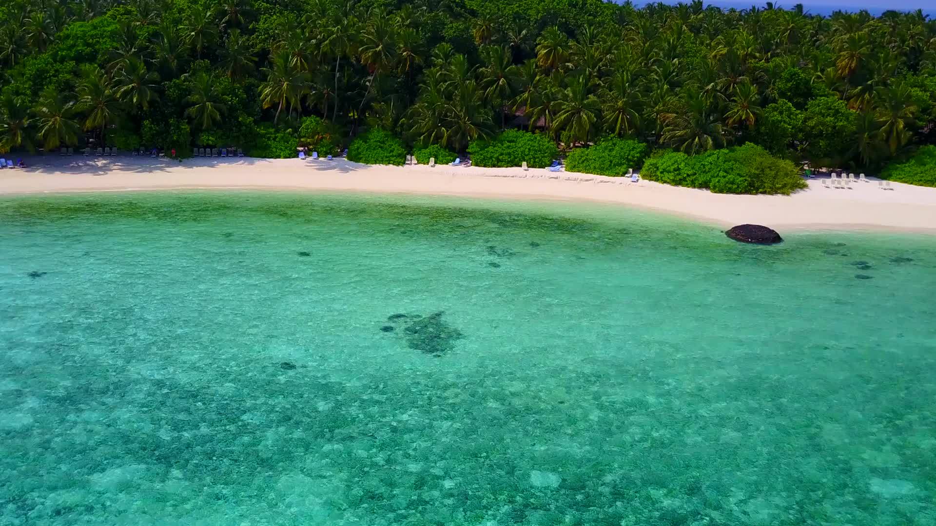 在白色海滩的背景下在度假村附近的浅蓝色海水中放松海岸海滩冒险视频的预览图