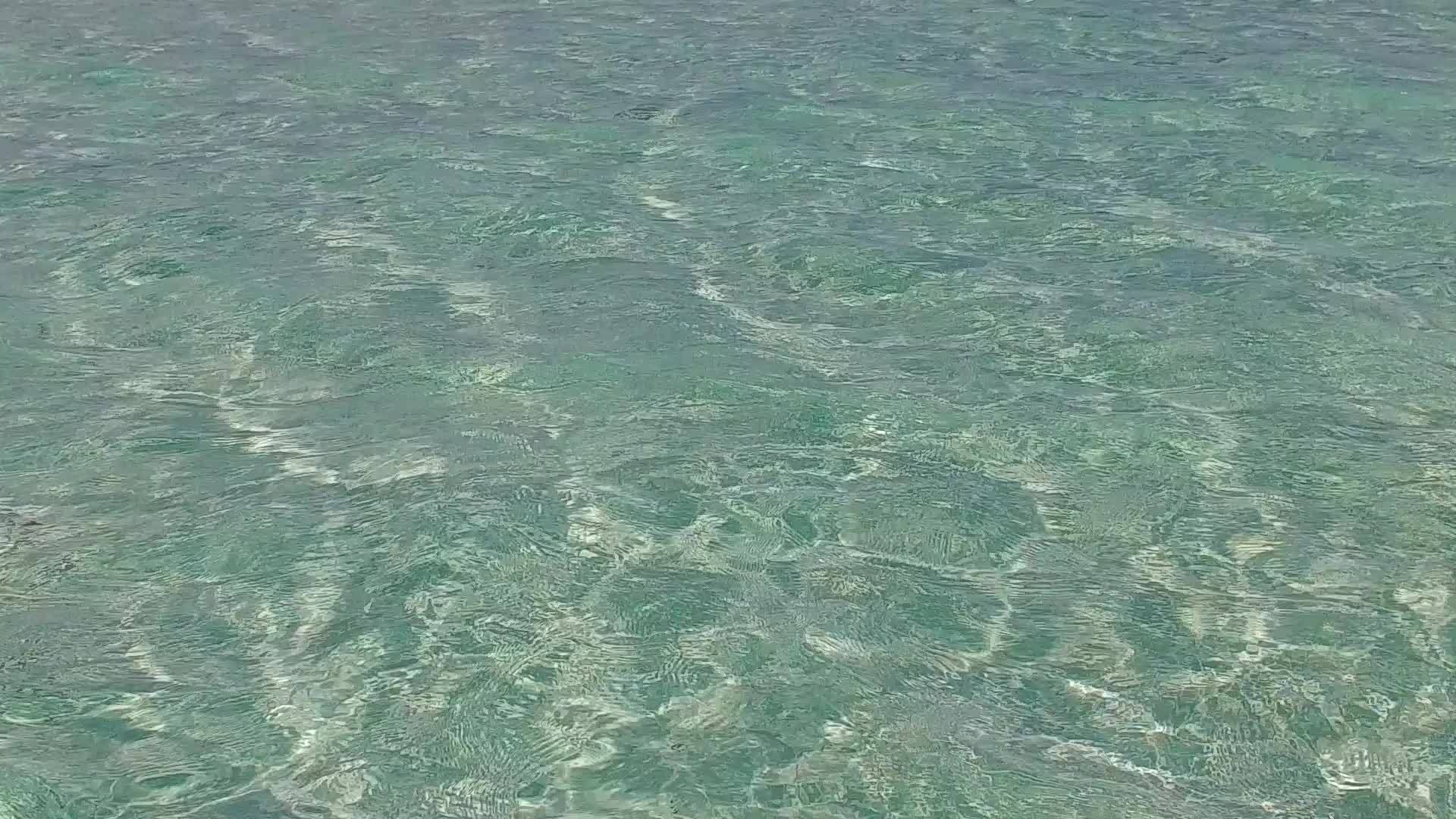 以透明的海洋封闭热带海岸海滩时间的风景视频的预览图