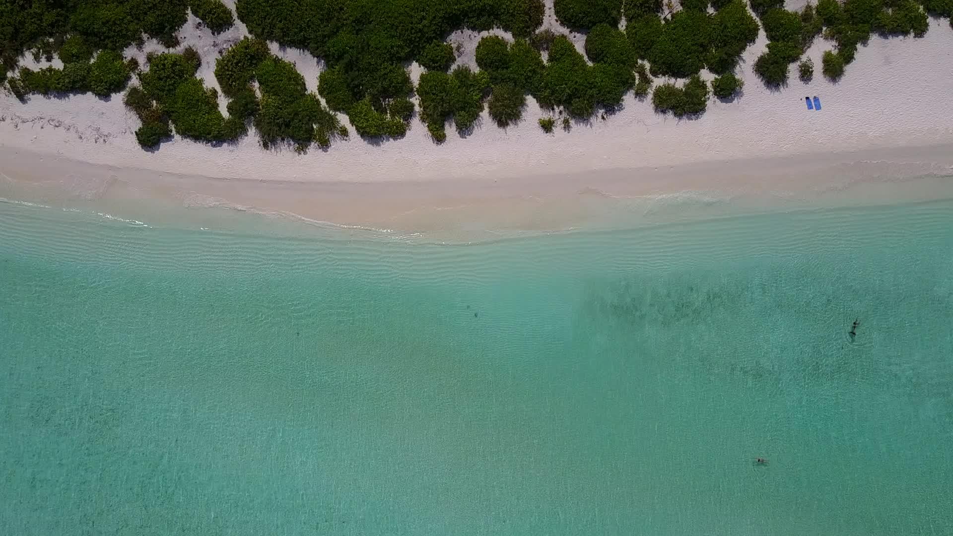 在蓝色海洋和珊瑚礁附近的白色沙滩背景下宁静的岛屿海滩生活方式视频的预览图