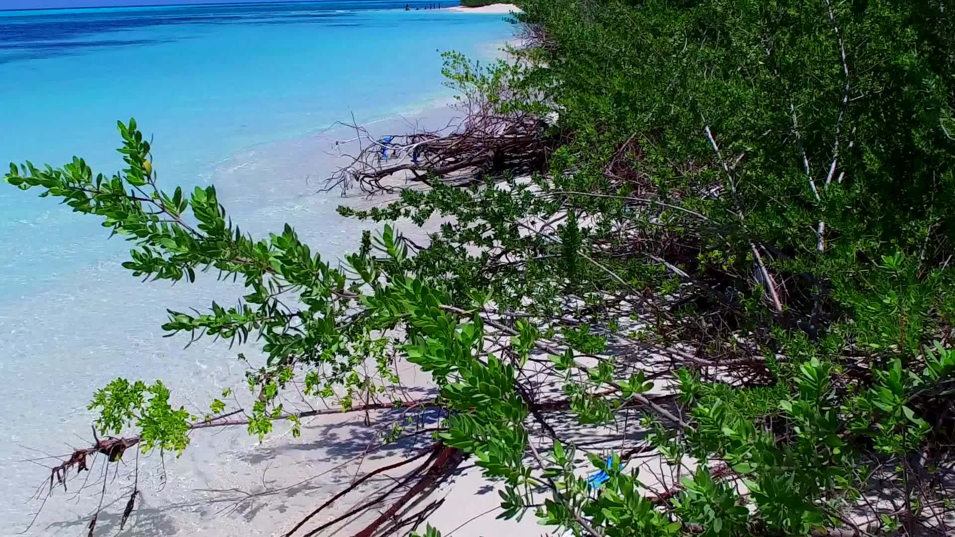 美丽的海岸线海滩假日白天自然沙巴附近有白色海滩背景视频的预览图