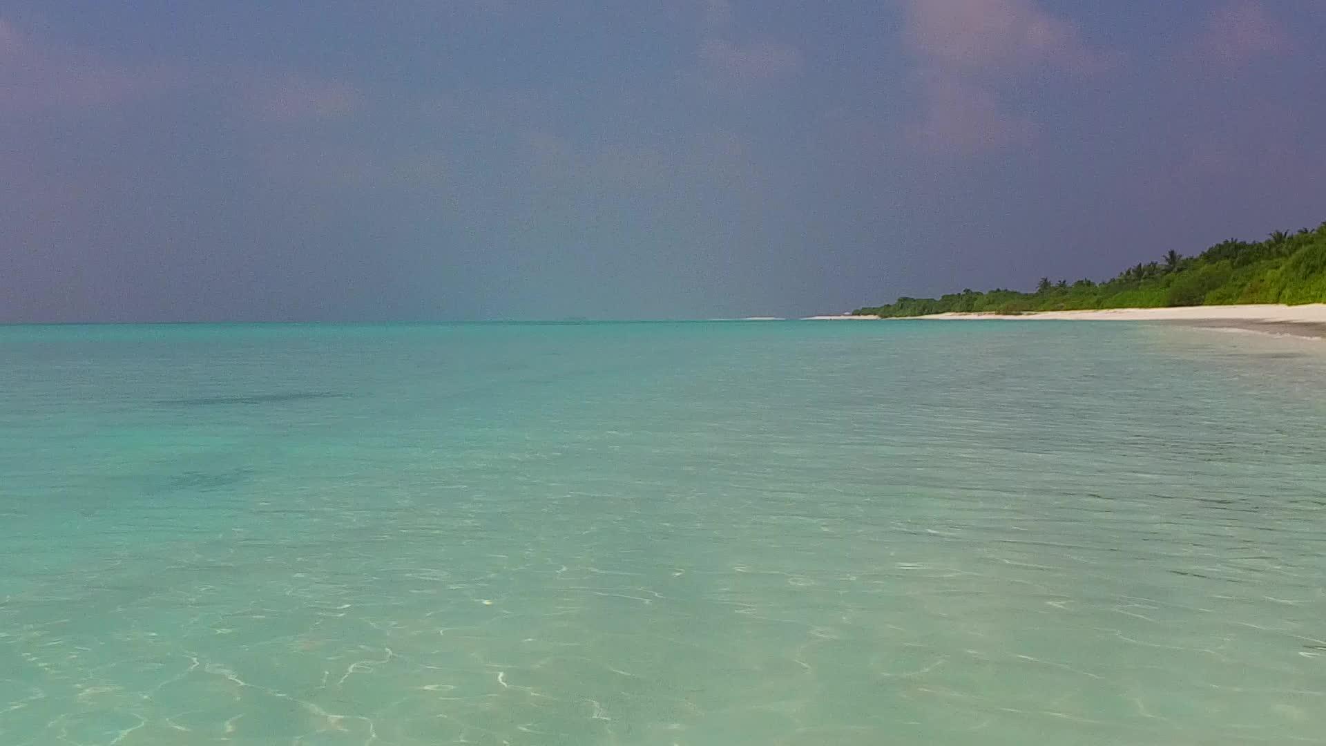 热带旅游海滩度假的一天抽象在棕榈树附近有白沙背景视频的预览图
