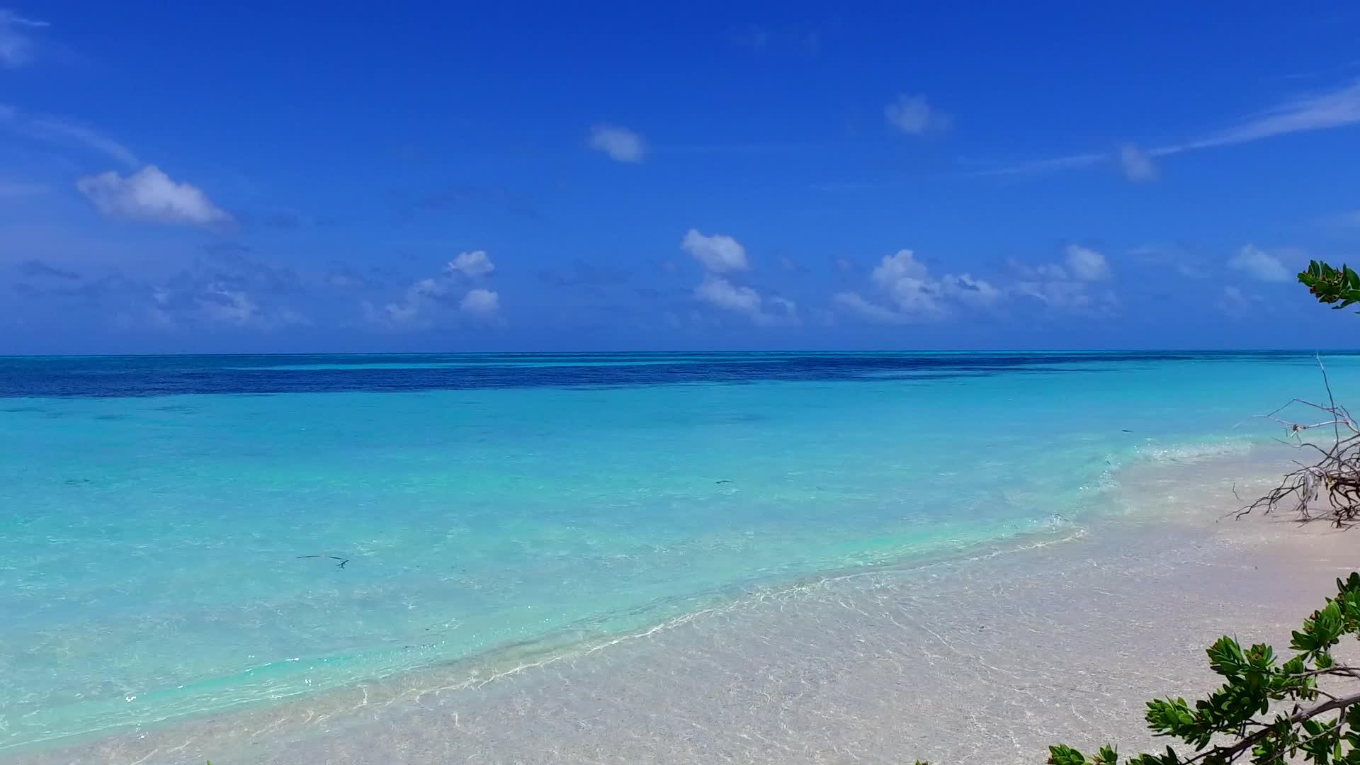 蓝色海洋和珊瑚礁附近的白色沙底环绕着蓝色海洋的野生海滩视频的预览图