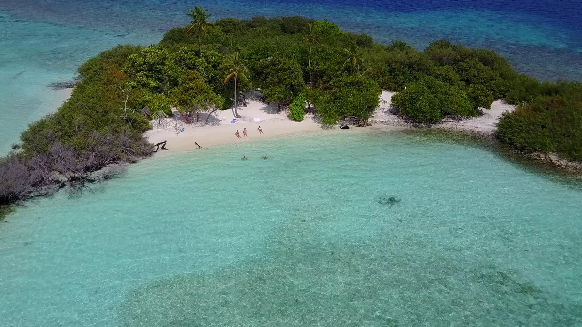 日出后以清澈的海洋和白色的海滩为背景视频的预览图