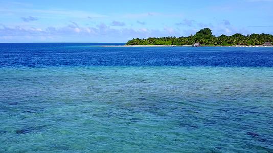 冲浪附近的蓝色环礁湖有白色的沙子背景靠近海边的野生生物视频的预览图